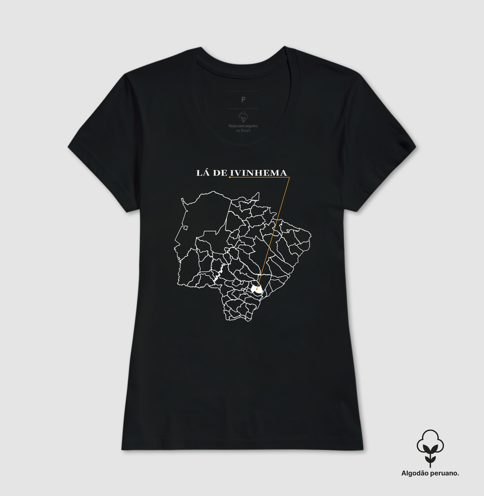 Ivinhema | Origem MS - Imagem 7