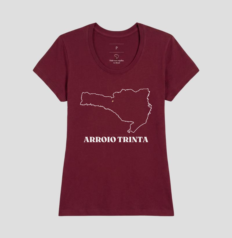 Arroio Trinta | Traço SC - Imagem 19