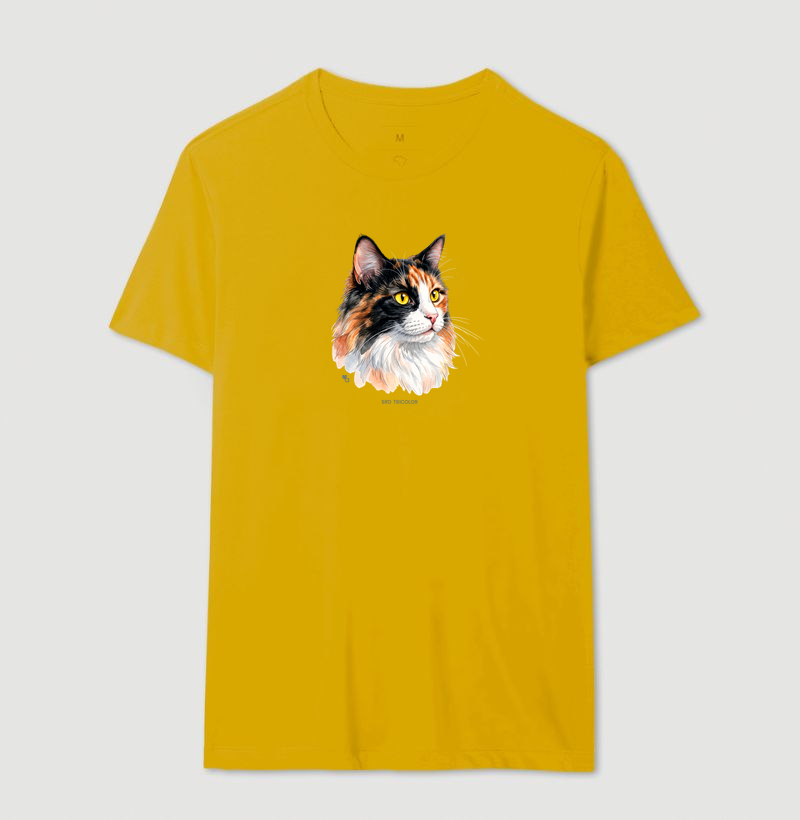 Gatos - SRD Tricolor - Imagem 12