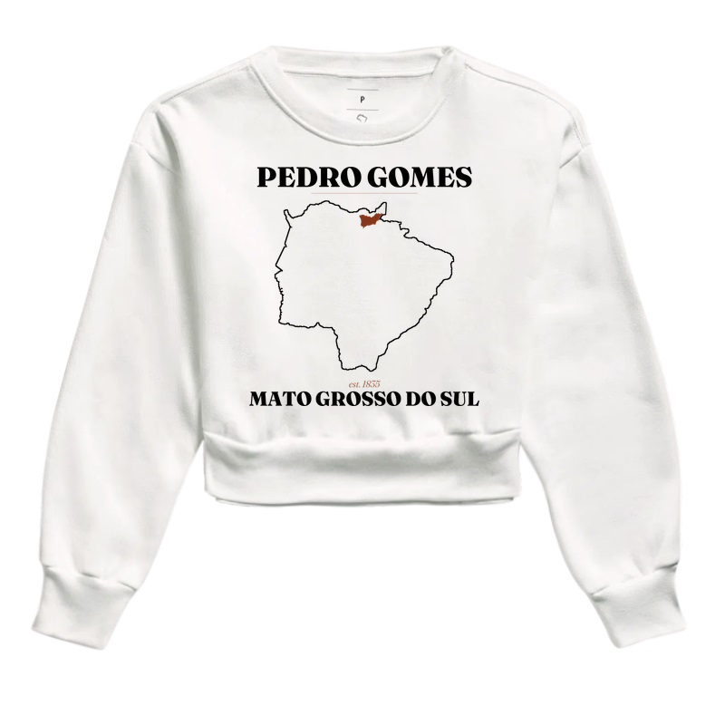 Pedro Gomes | Legado MS - Imagem 3