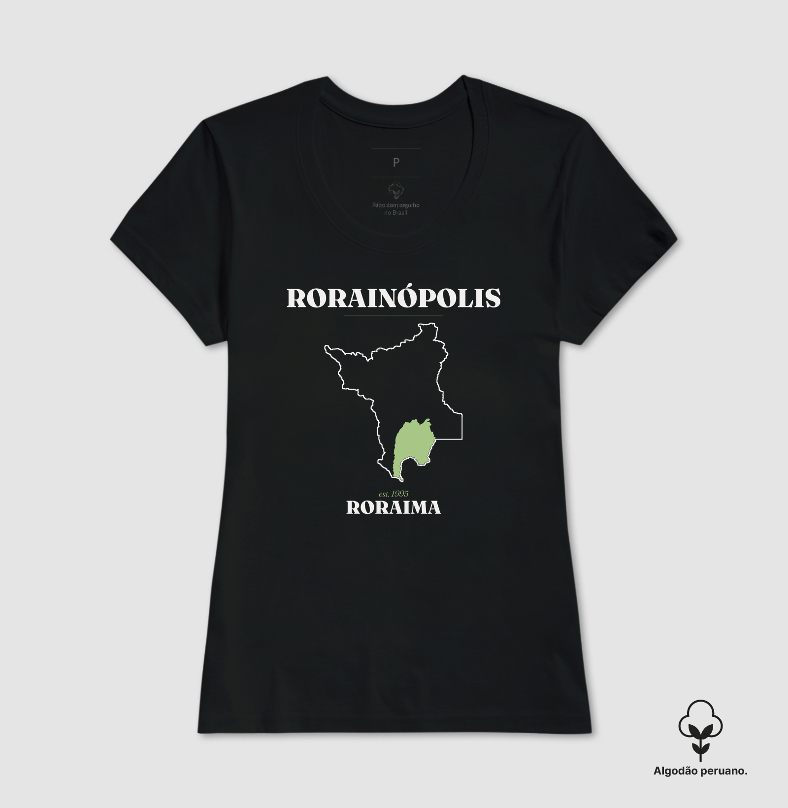 Rorainópolis | Legado RR - Imagem 5