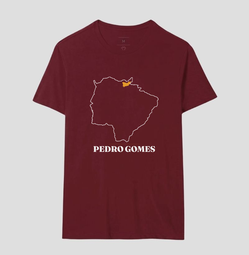 Pedro Gomes | Traço MS - Imagem 18