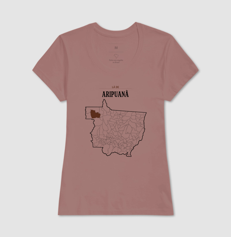 Aripuanã | Território MT - Imagem 17