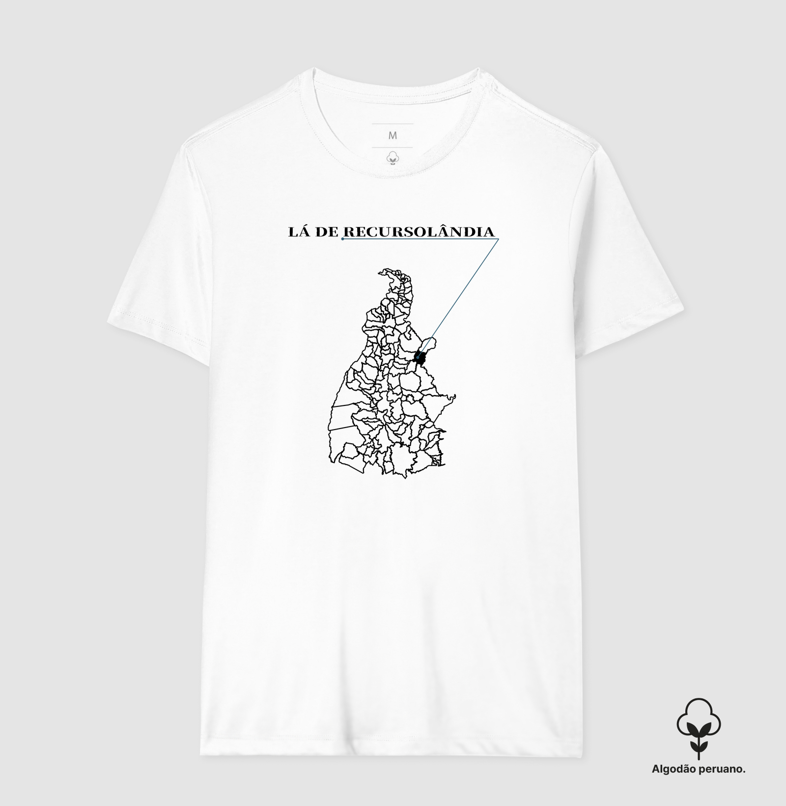 Recursolândia | Origem TO - Imagem 2