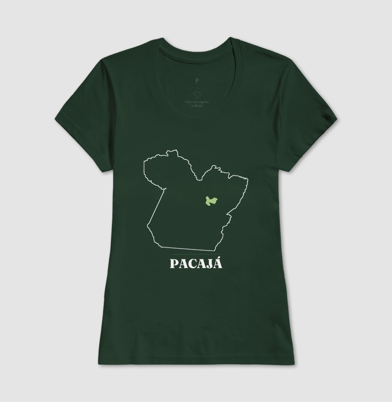 Pacajá | Traço PA - Imagem 13