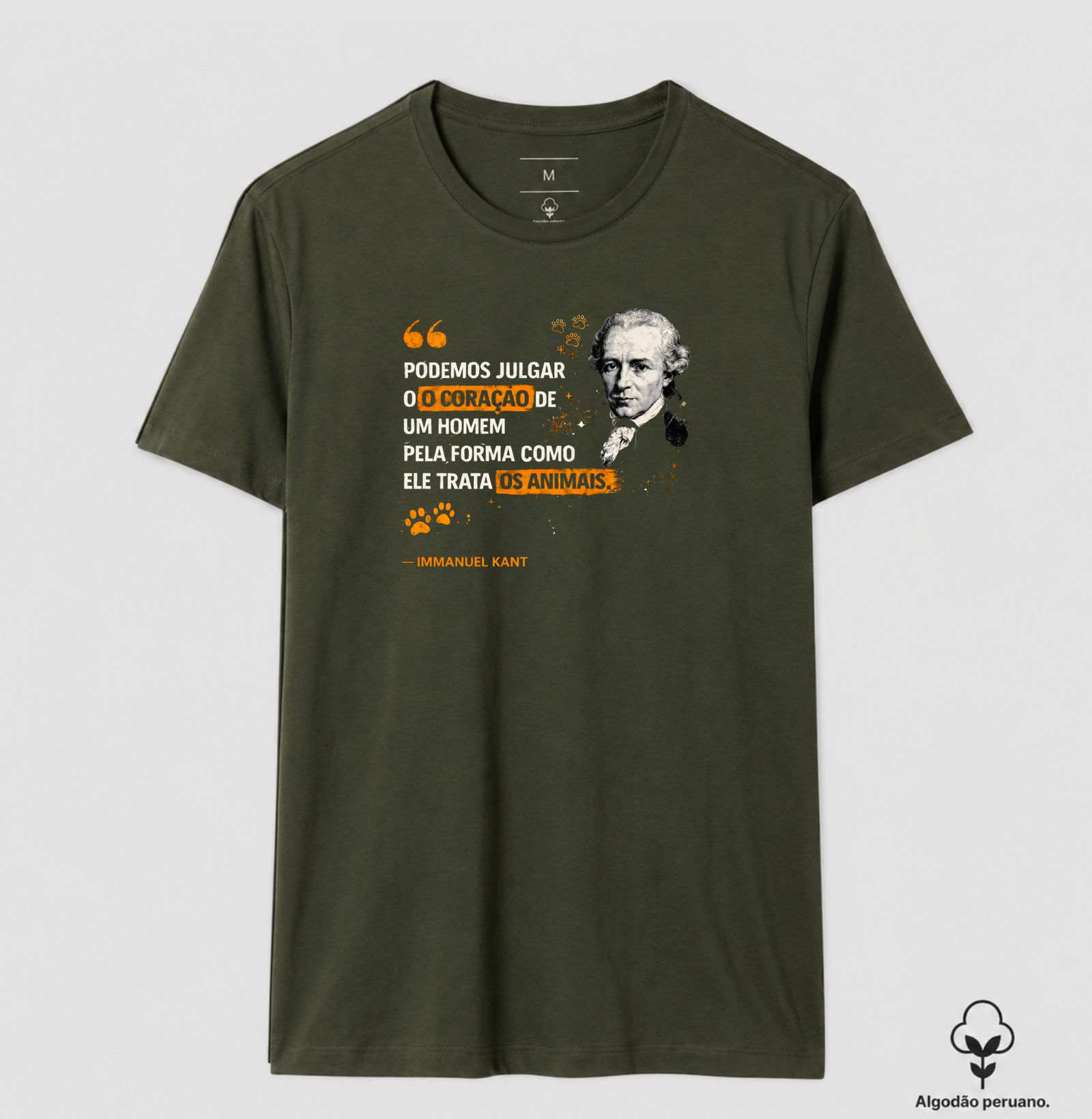 Filosofia de Immanuel Kant - Imagem 4