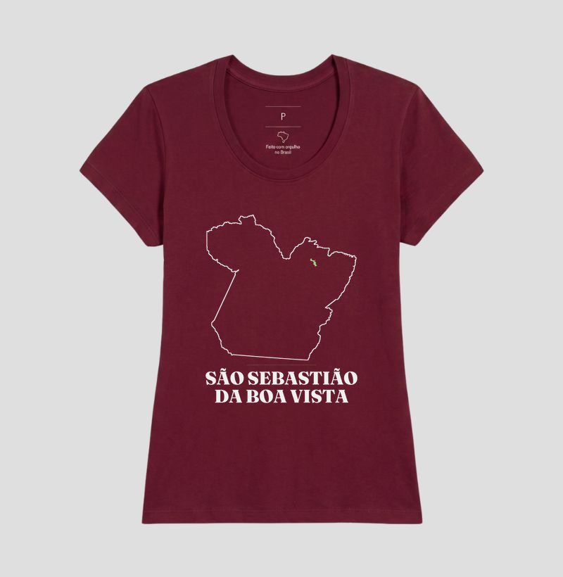 São Sebastião da Boa Vista | Traço PA - Imagem 19