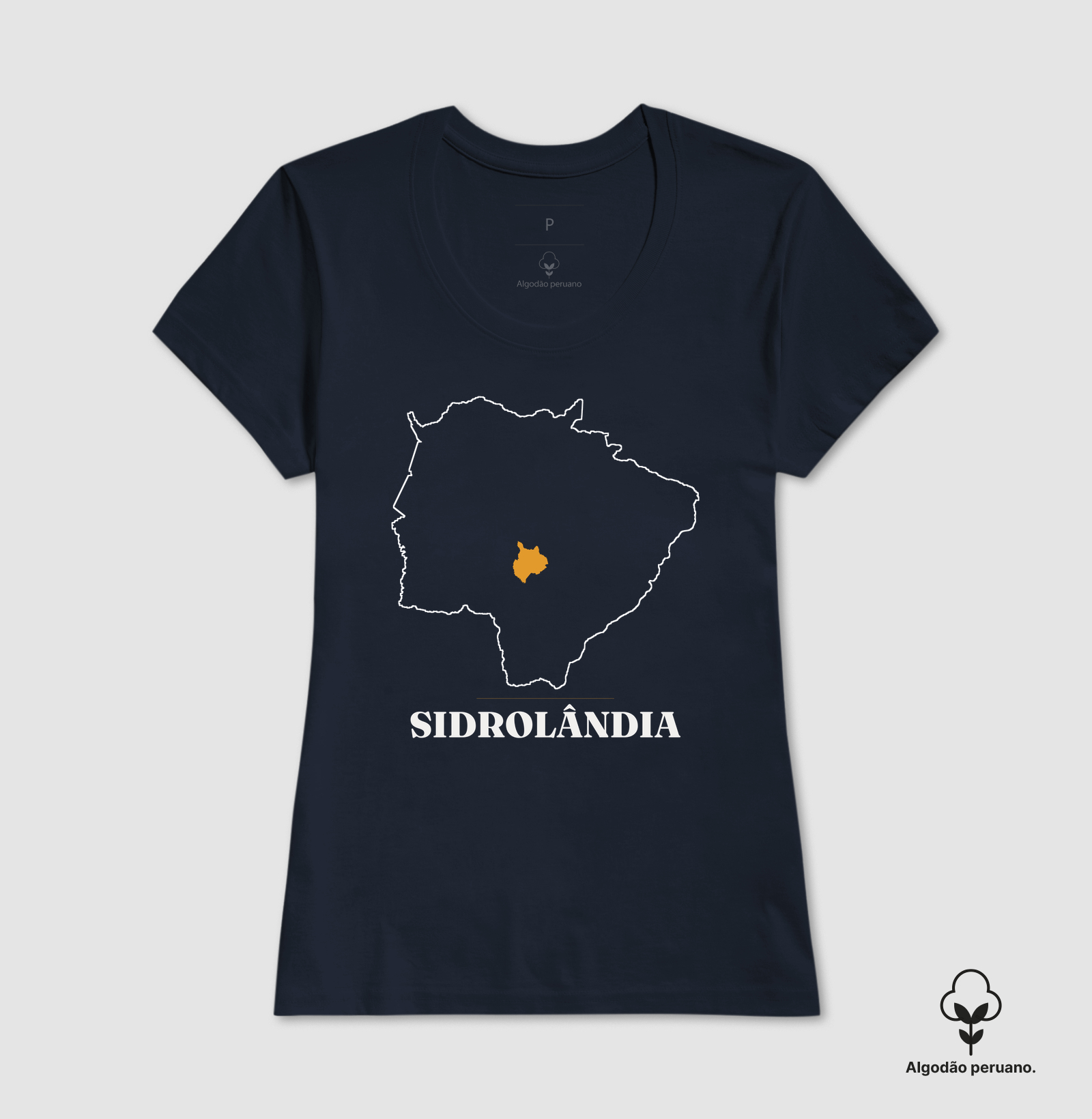 Sidrolândia | Traço MS - Imagem 8