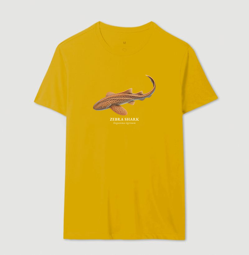 Zebra Shark - Imagem 15