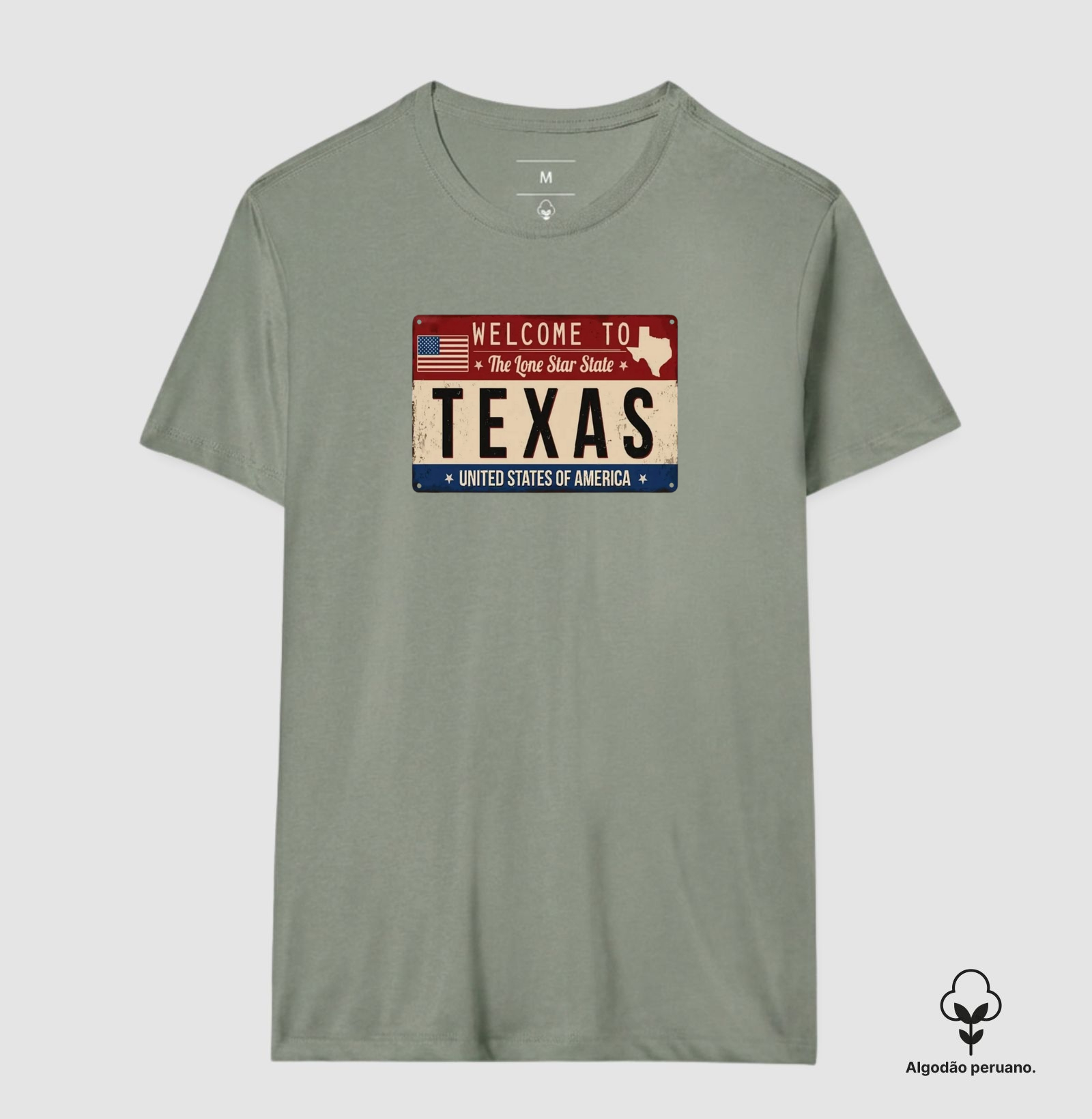 Texas (placa envelhecida) - Imagem 8