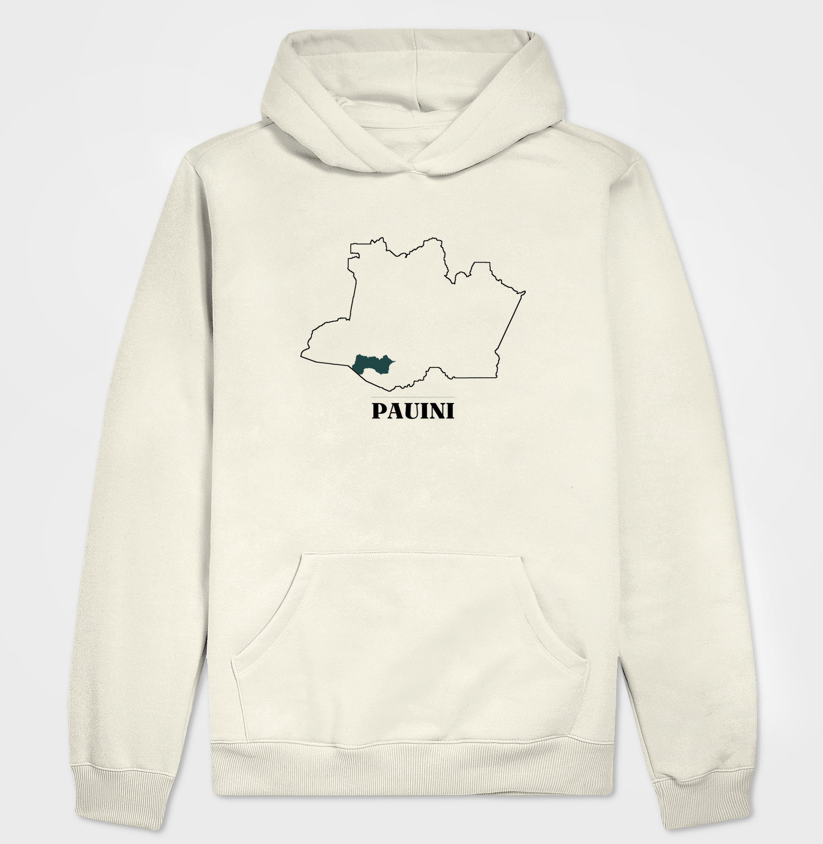 Pauini | Traço AM - Imagem 3