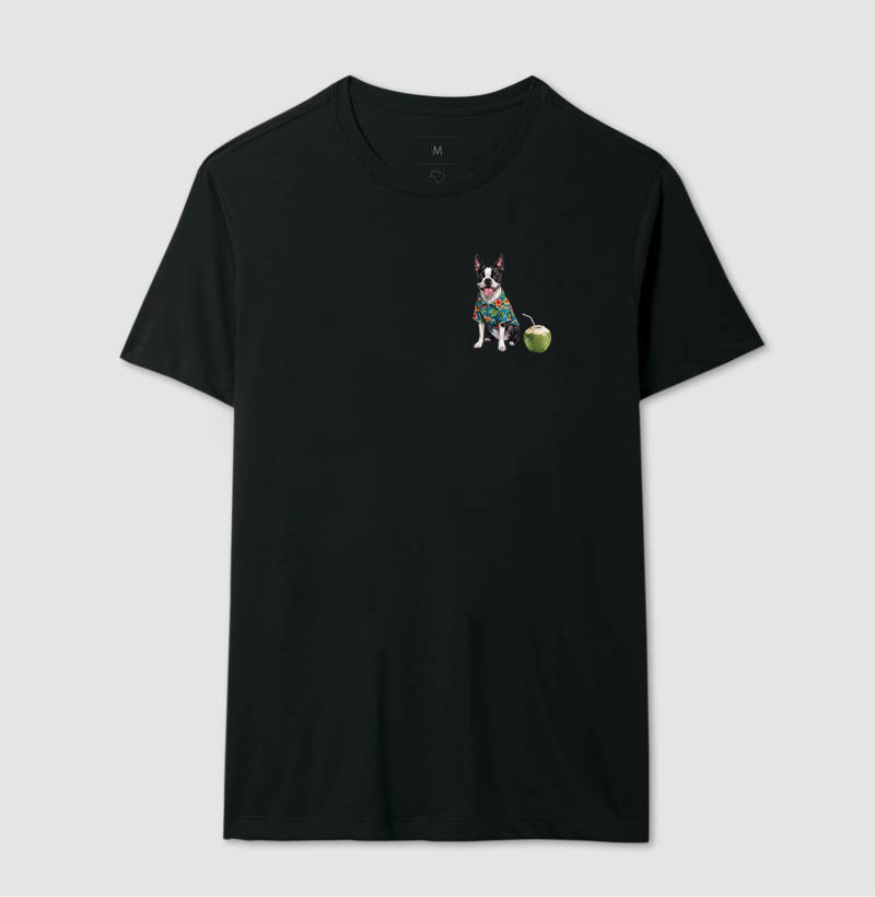 Boston Terrier - Férias - Imagem 2