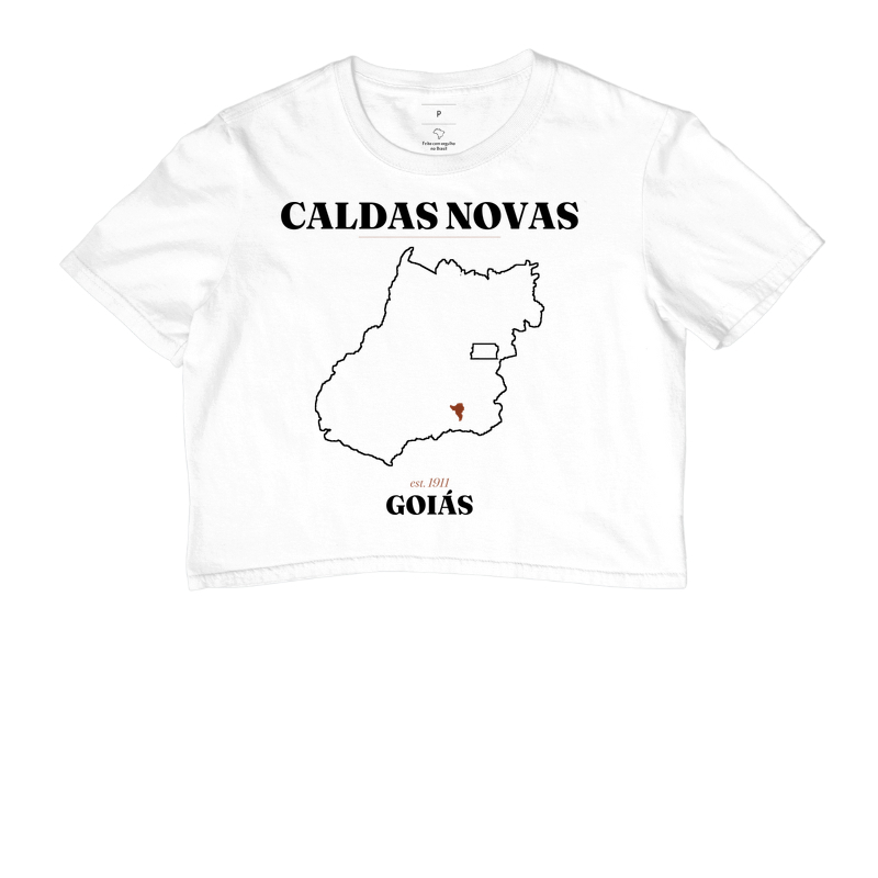 Caldas Novas | Legado GO - Imagem 3