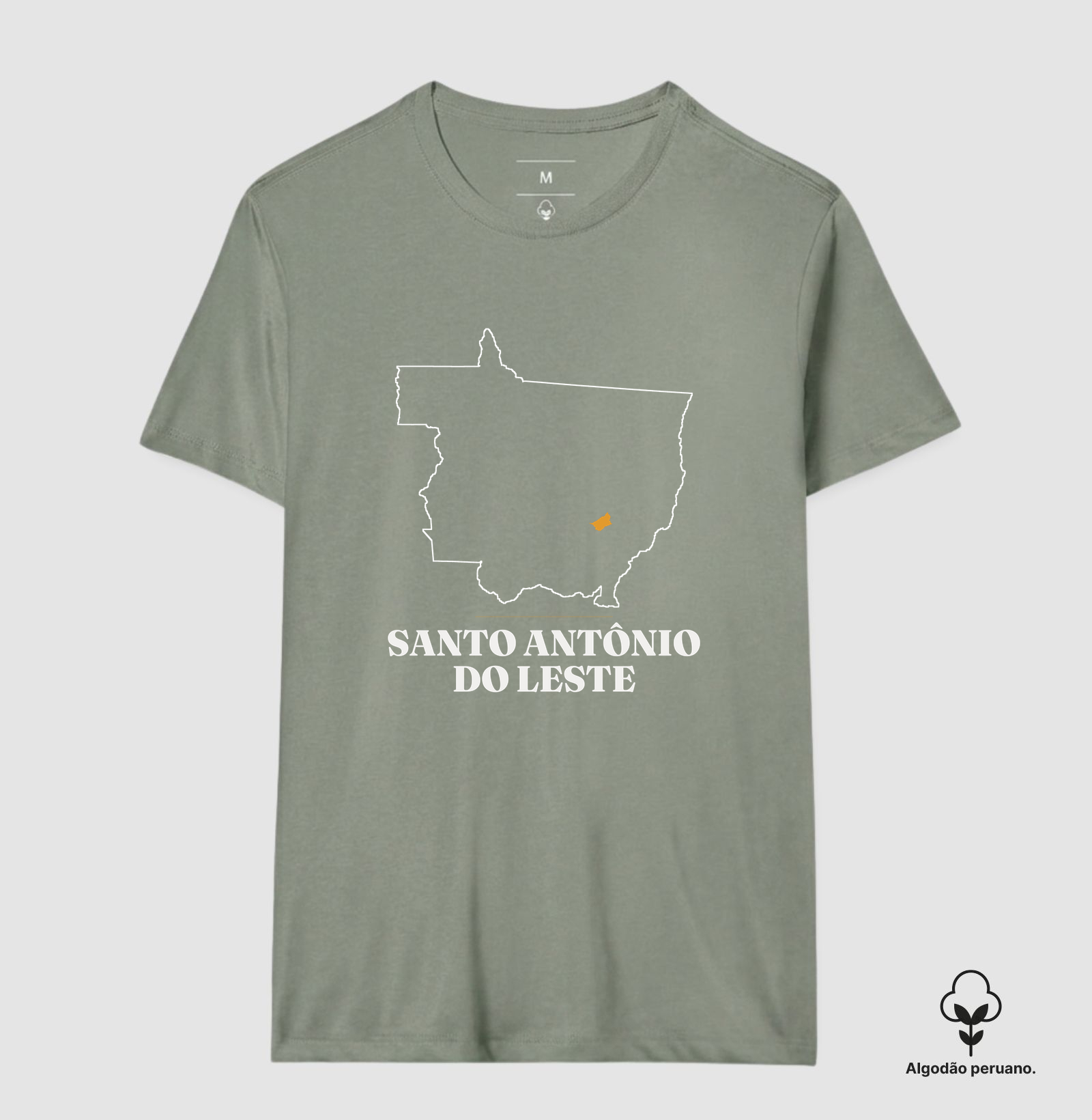 Santo Antônio do Leste | Traço MT - Imagem 9