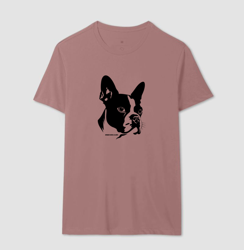 Boston Terrier - Imagem 8