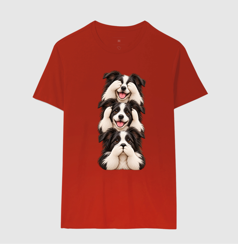 Ver, ouvir e falar Border Collie - Imagem 8