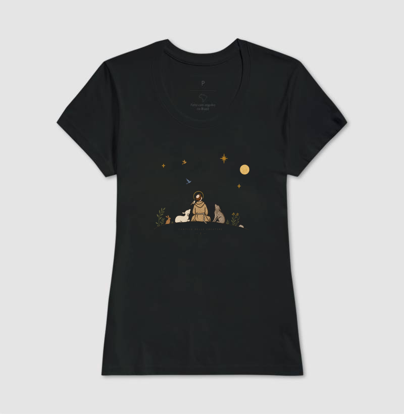 São Francisco e as estrelas - Imagem 3