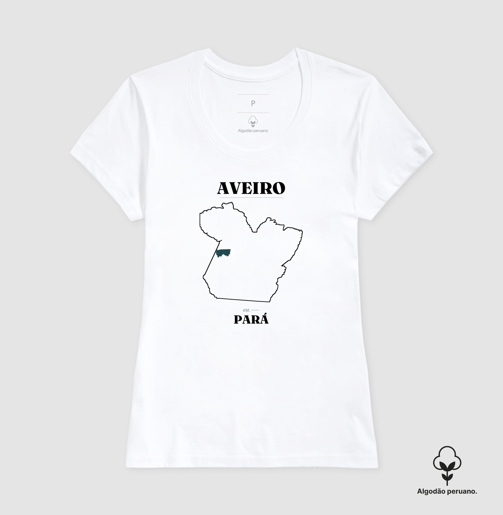Aveiro | Legado PA - Imagem 6
