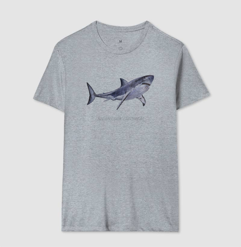 Carcharodon carcharias - Imagem 10