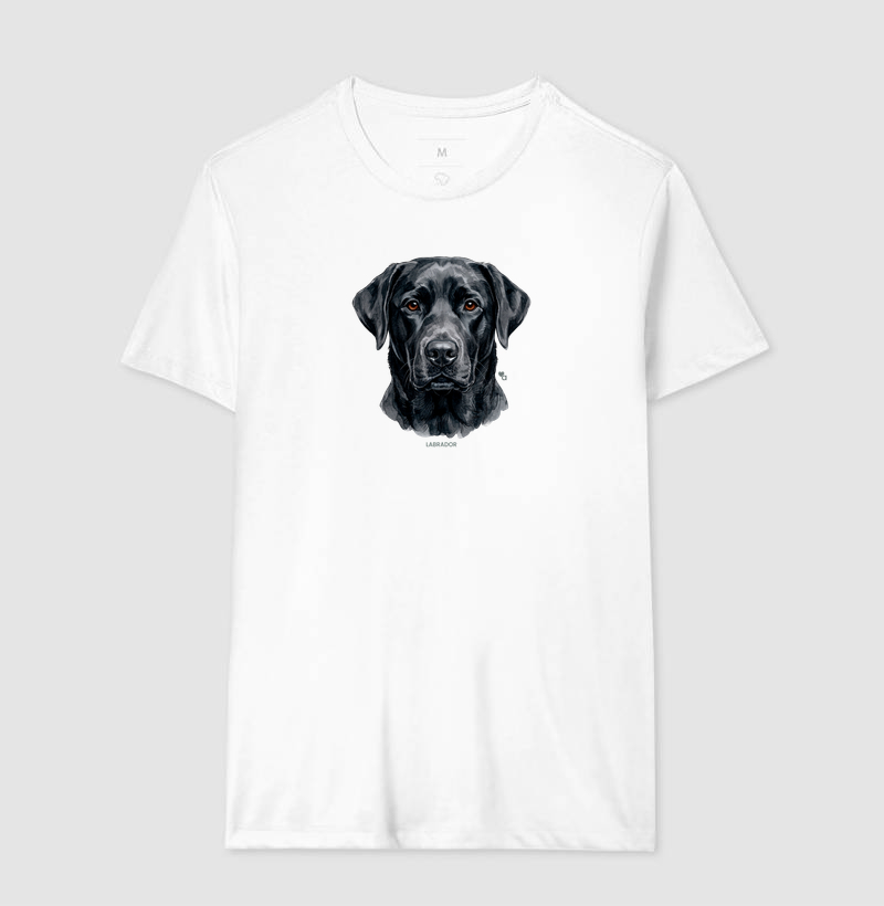 Cães - Labrador preto - Imagem 6