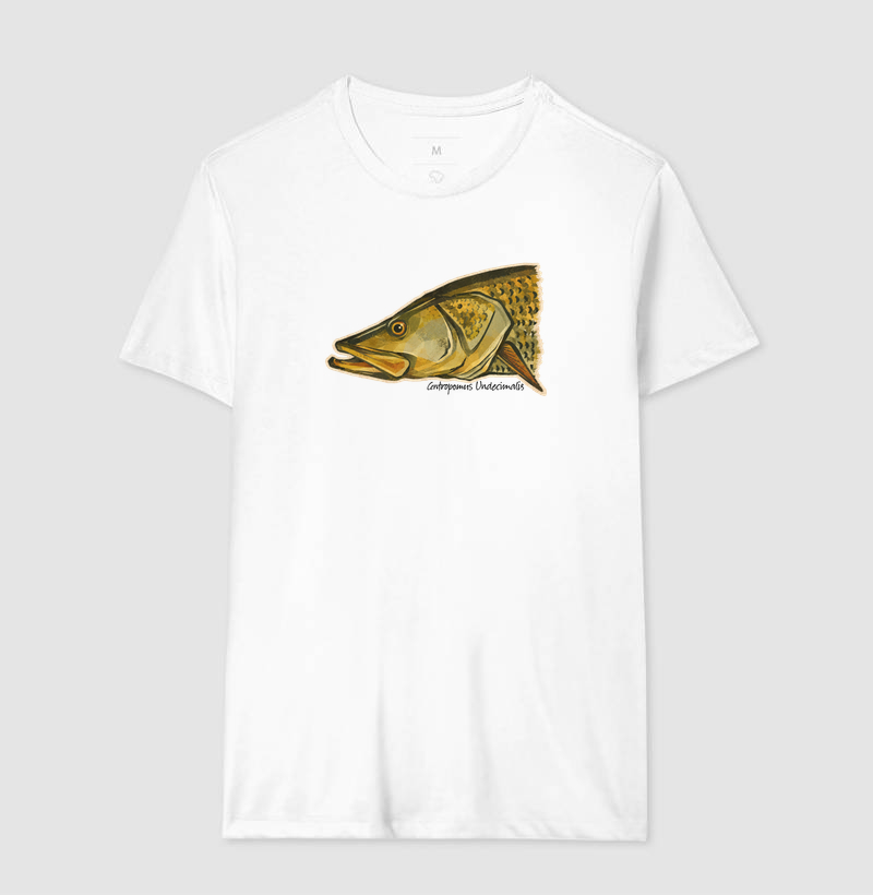 Robalo-Flecha - Imagem 4