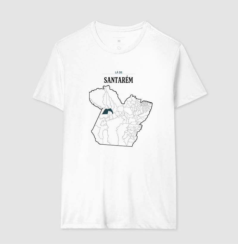 Santarém | Território PA - Imagem 4