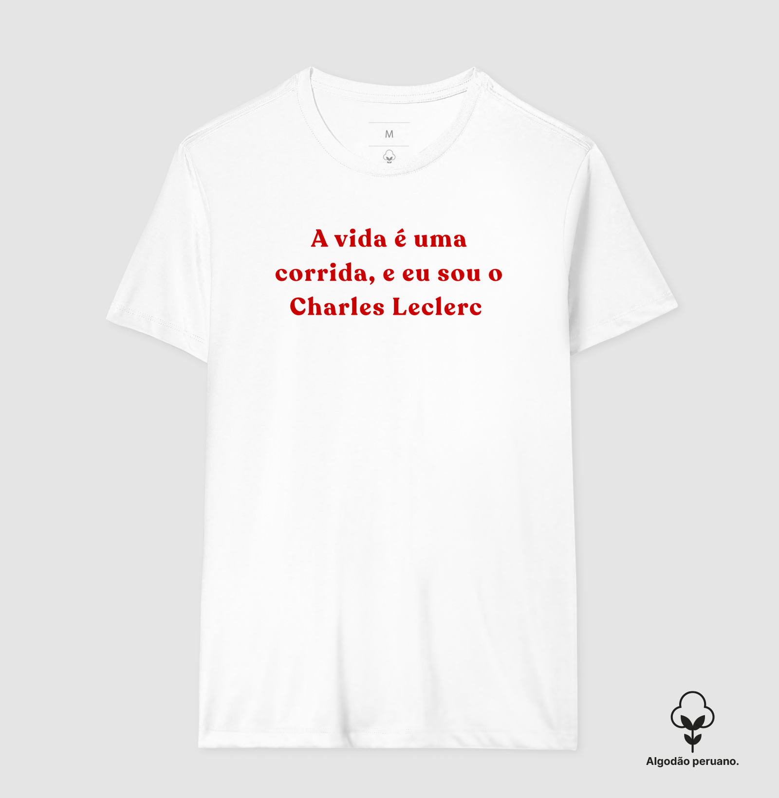 Na vida eu sou o Charles Leclerc - Imagem 2