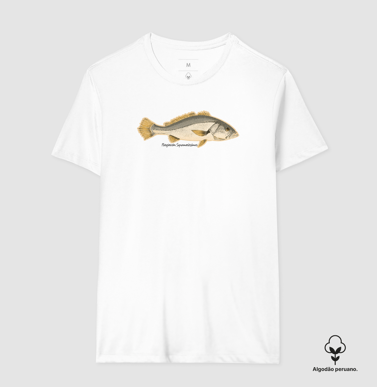 🎣 Corvina 🐟 - Imagem 4