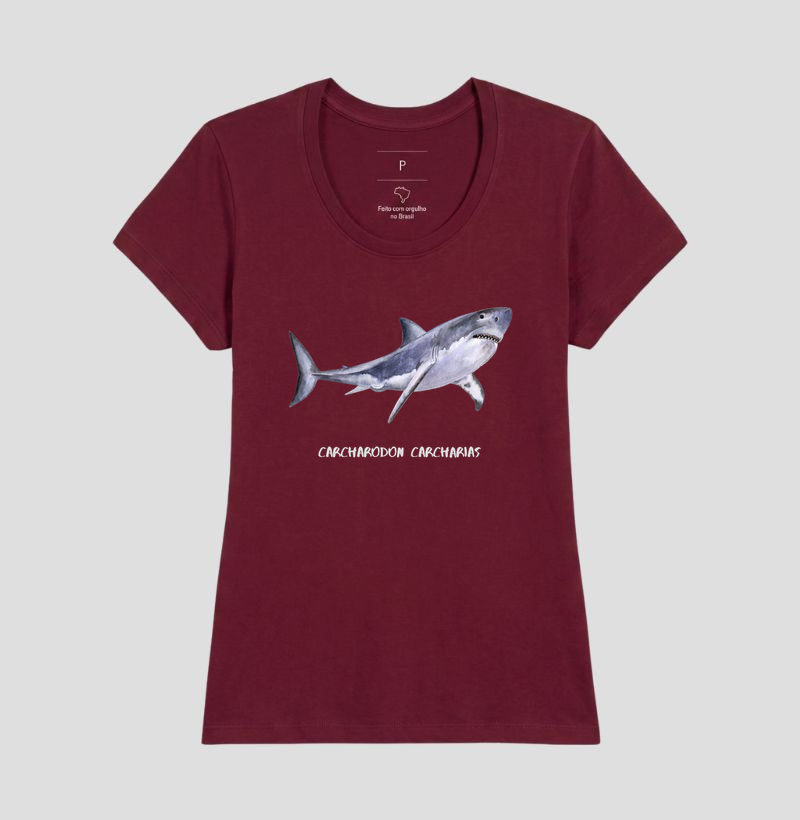 Carcharodon carcharias - Imagem 21
