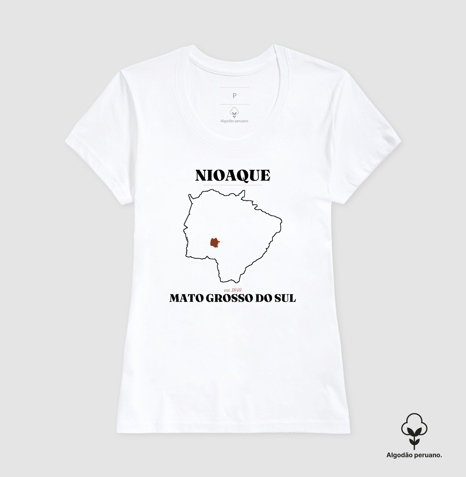 Nioaque | Legado MS - Imagem 7