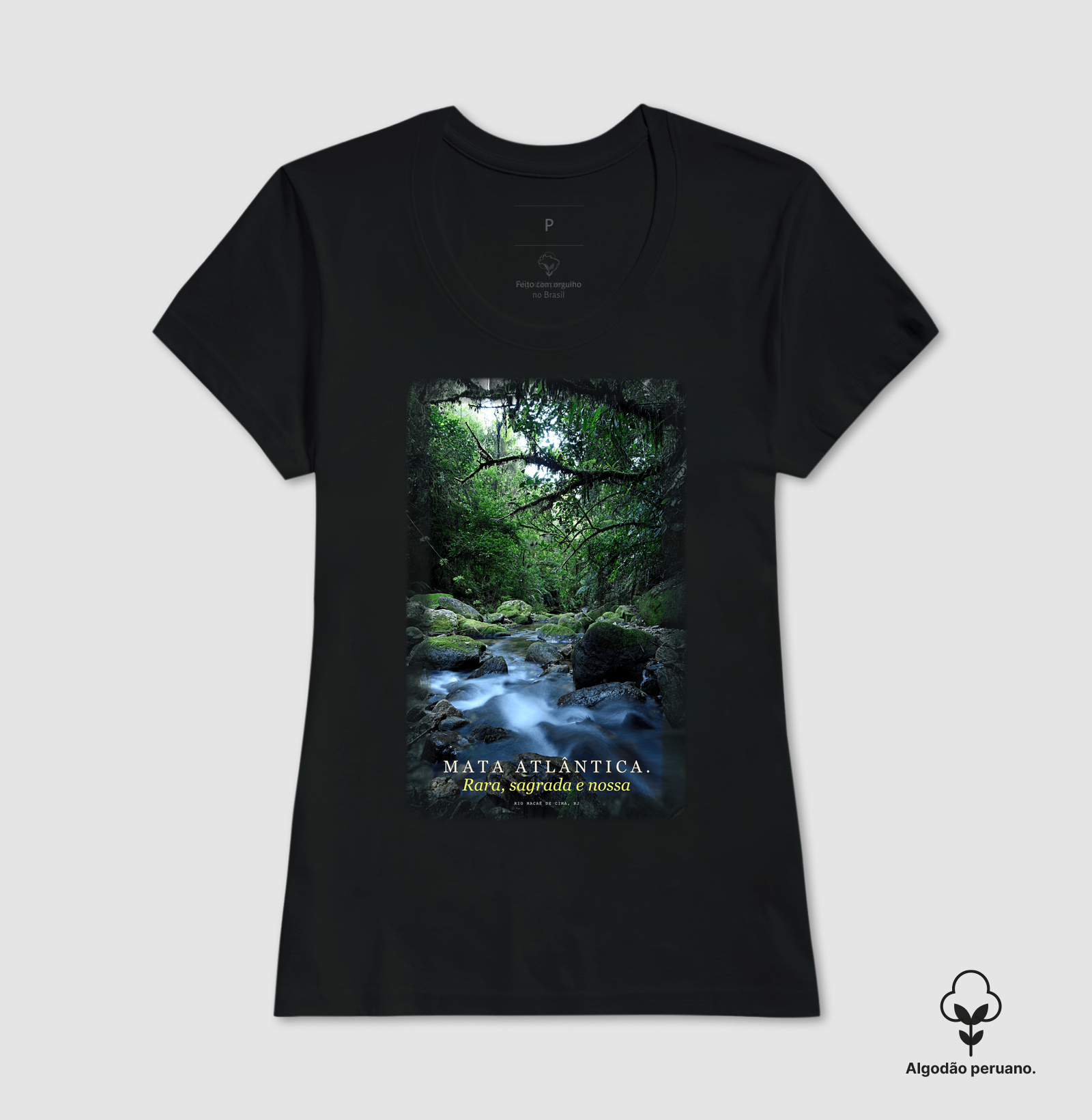 Mata Atlântica - Imagem 3