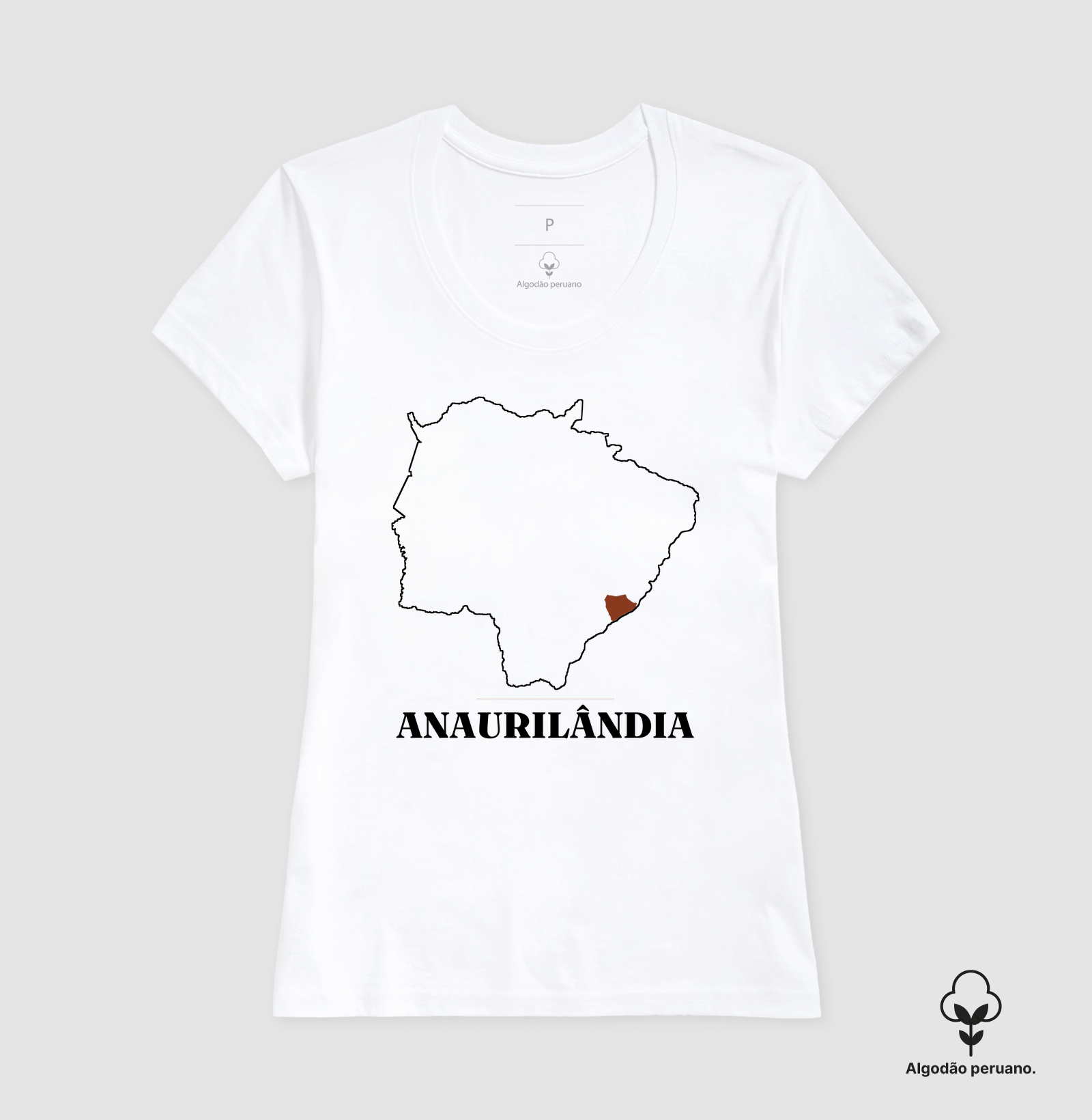 Anaurilândia | Traço MS - Imagem 5