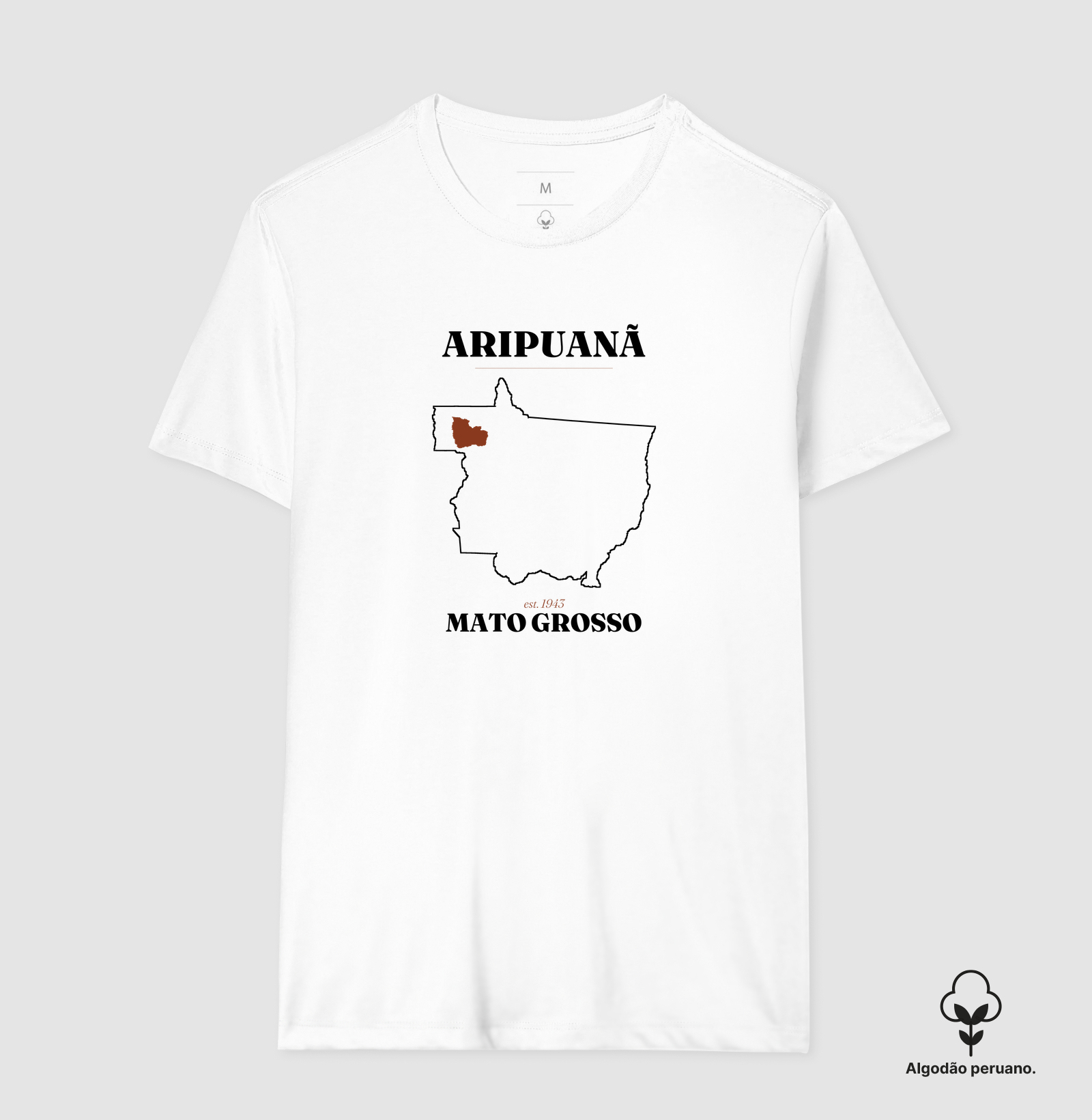 Aripuanã | Legado MT - Imagem 2