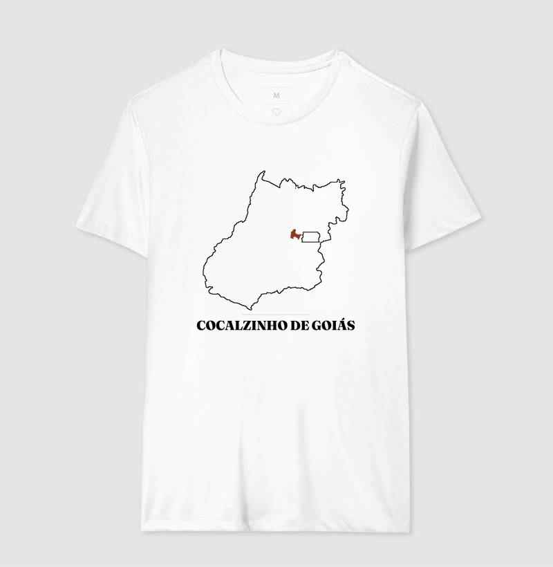 Cocalzinho de Goiás | Traço GO - Imagem 4
