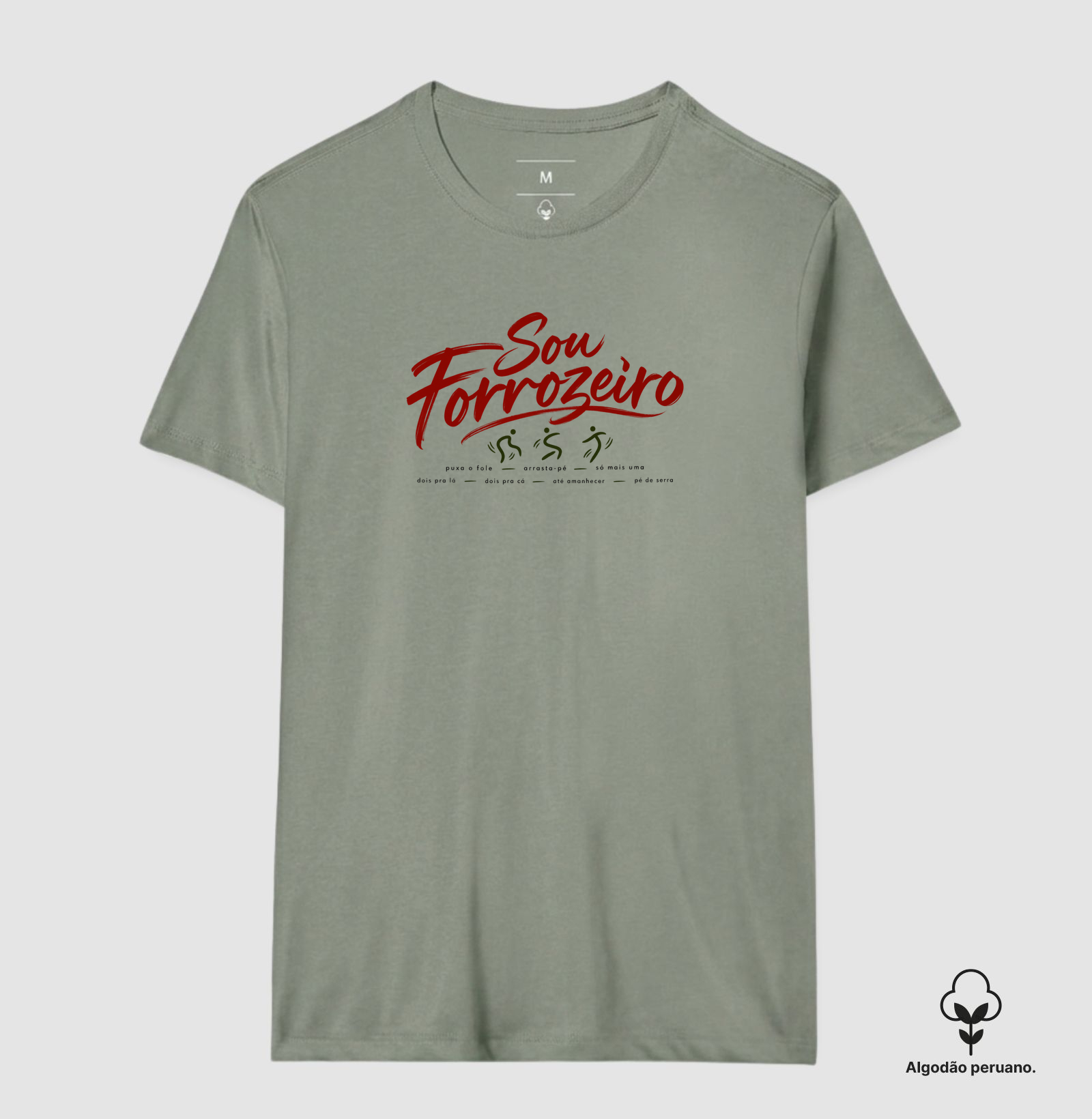 Sou forrozeiro - Imagem 4