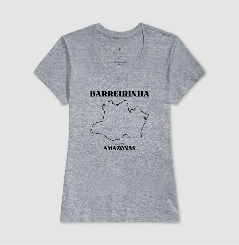 Barreirinha | Legado AM - Imagem 9