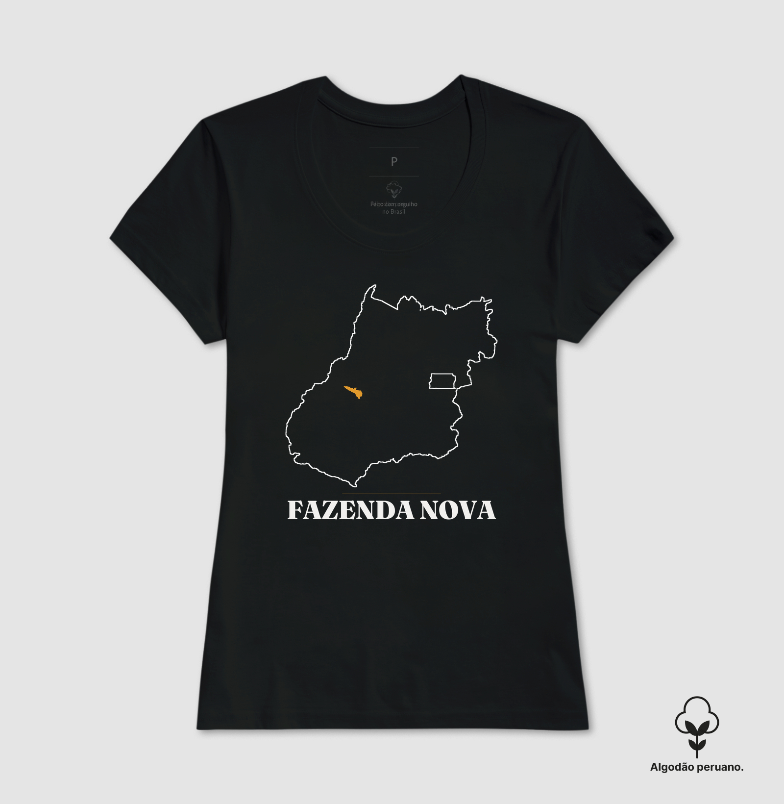 Fazenda Nova | Traço GO - Imagem 3