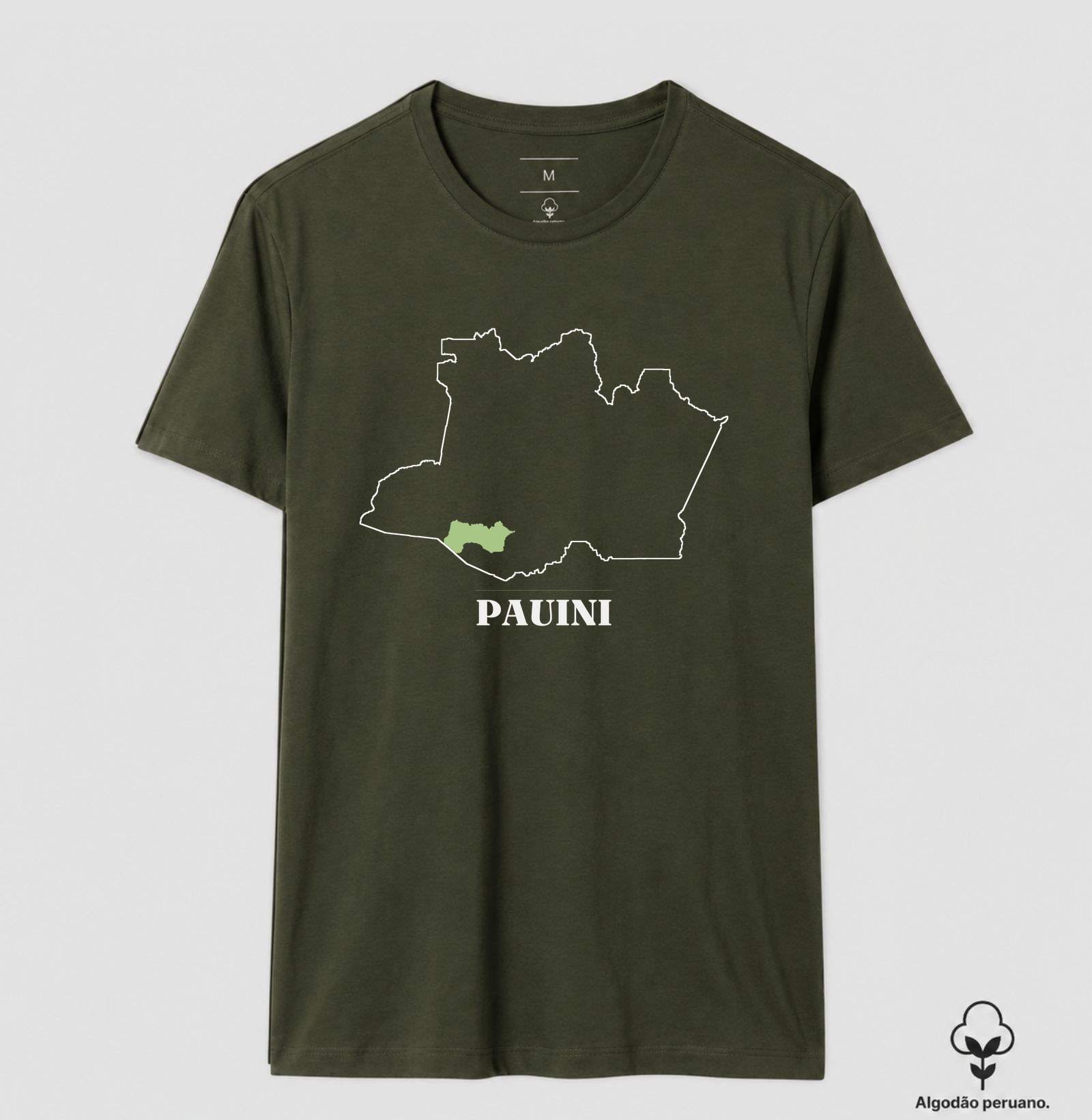 Pauini | Traço AM - Imagem 9