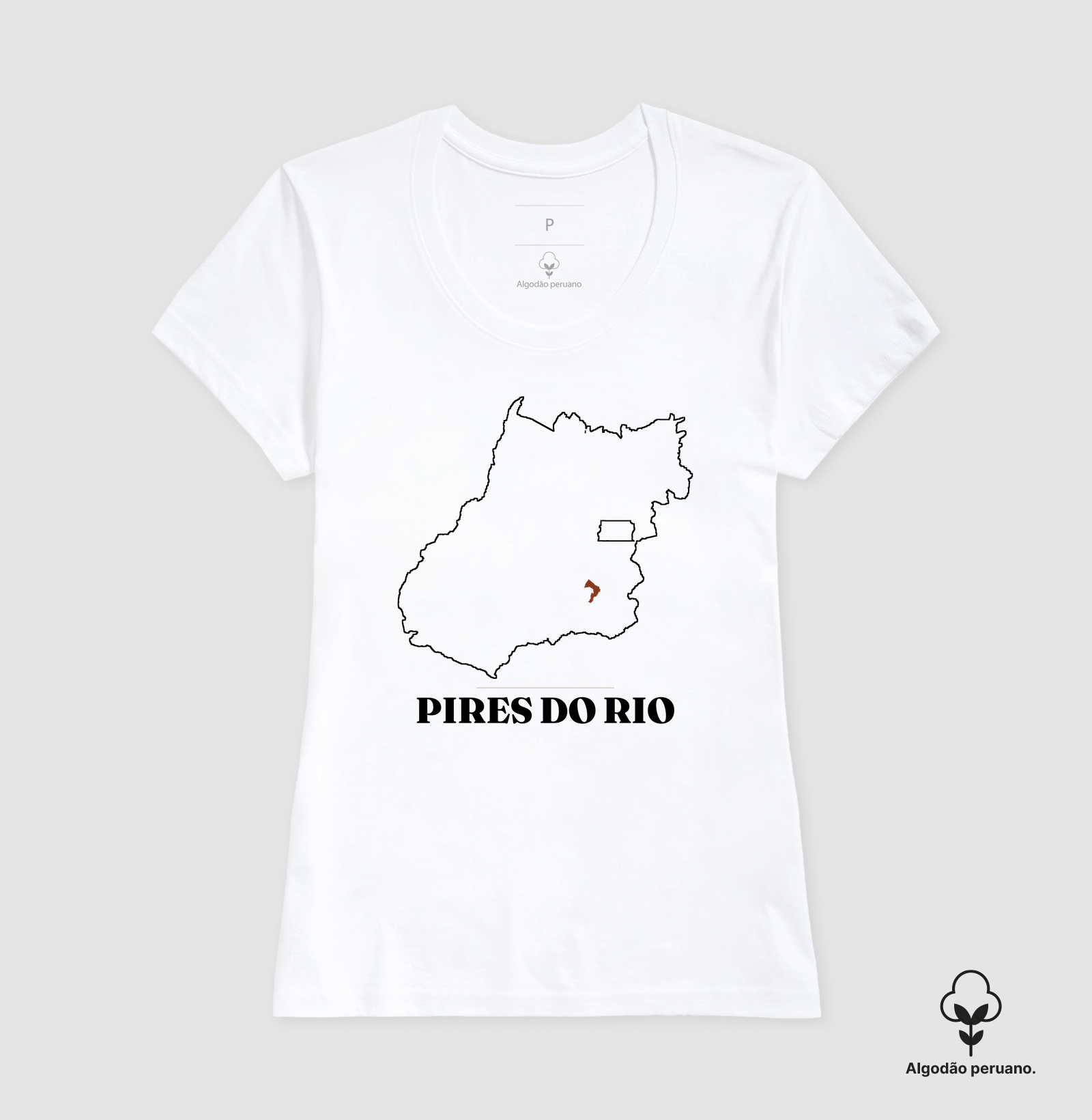 Pires do Rio | Traço GO - Imagem 7