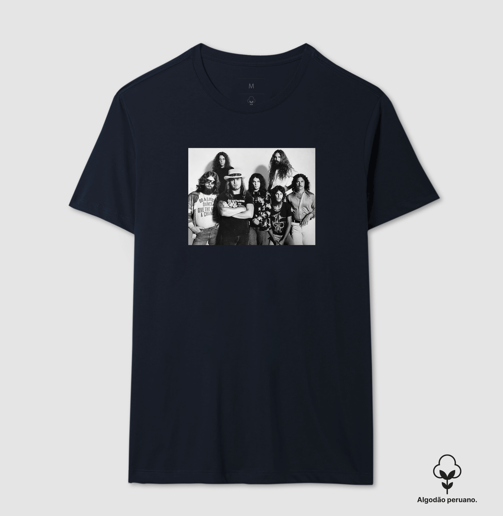 Lynyrd Skynyrd - 1977 - Imagem 8