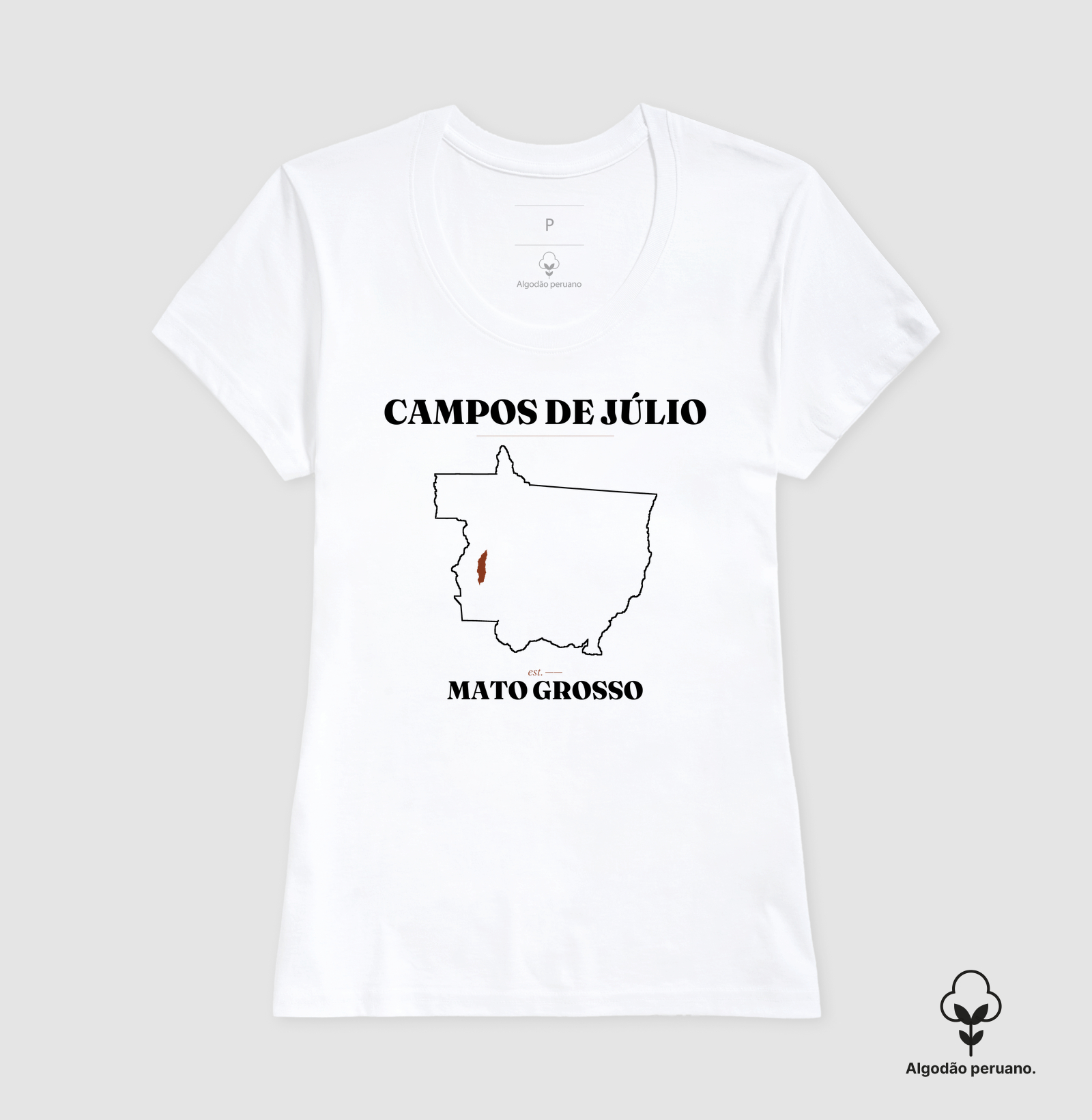 Campos de Júlio | Legado MT - Imagem 4