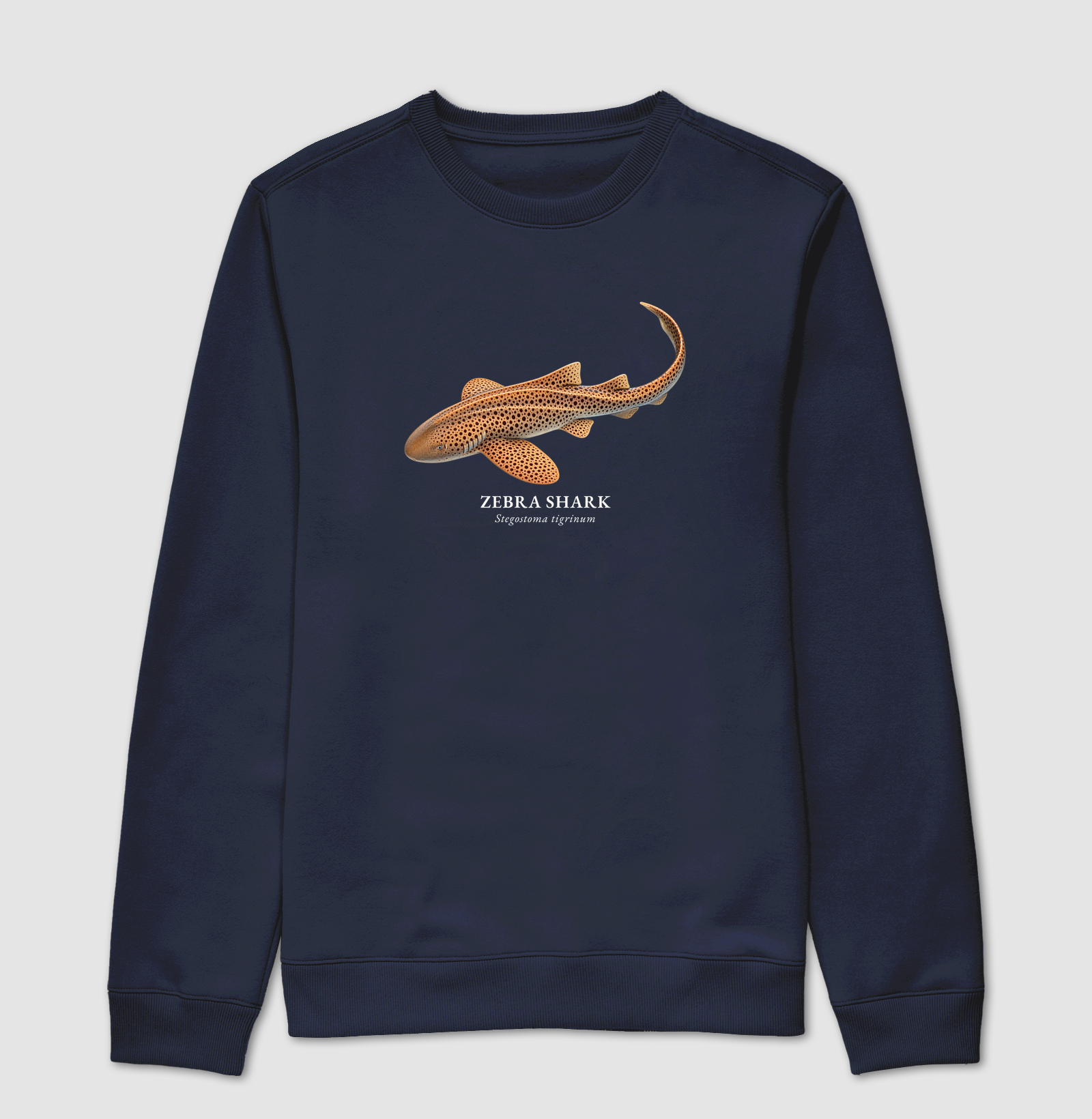 Zebra Shark - Imagem 5