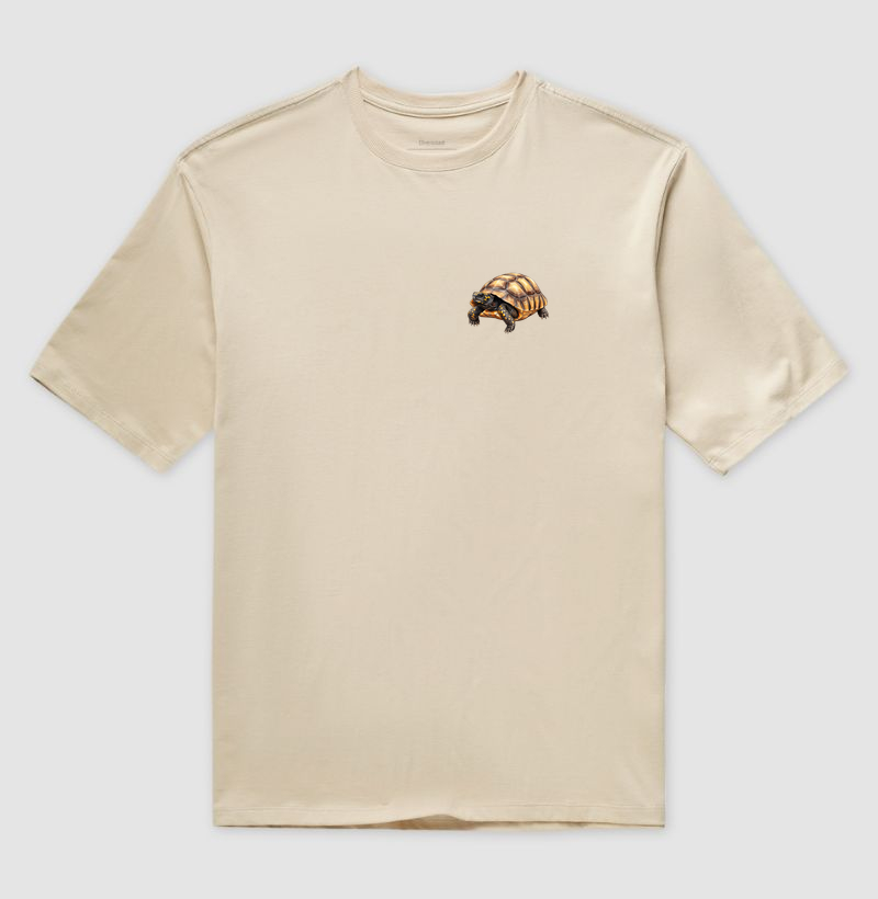 Répteis - Mini - Jabuti-tinga - Oversized - Imagem 5