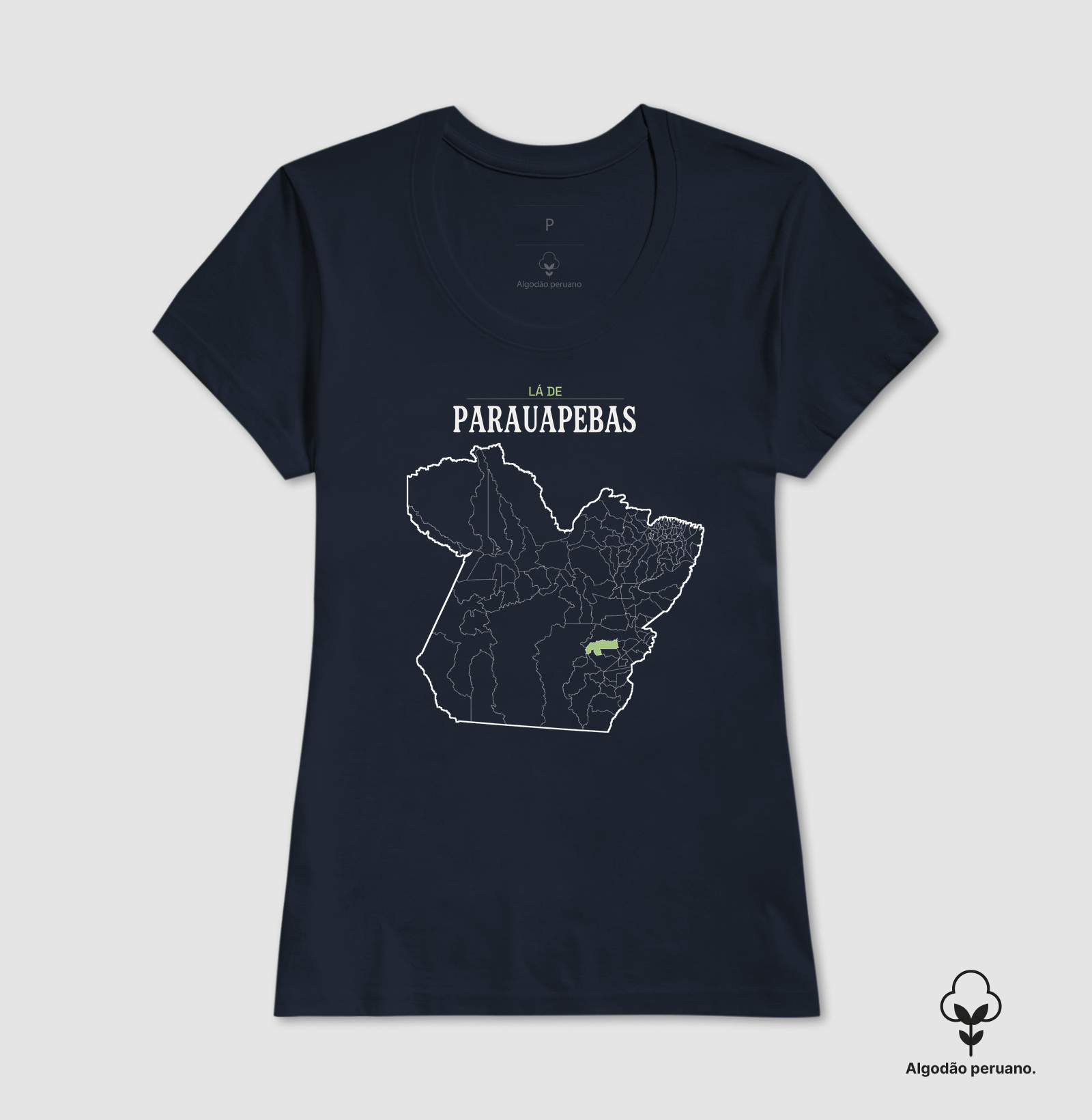 Parauapebas | Território PA - Imagem 9