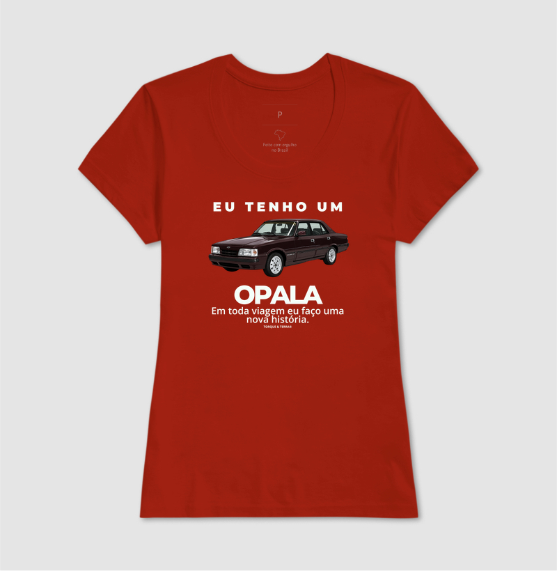 Eu tenho um Opala Diplomata vinho - Imagem 11