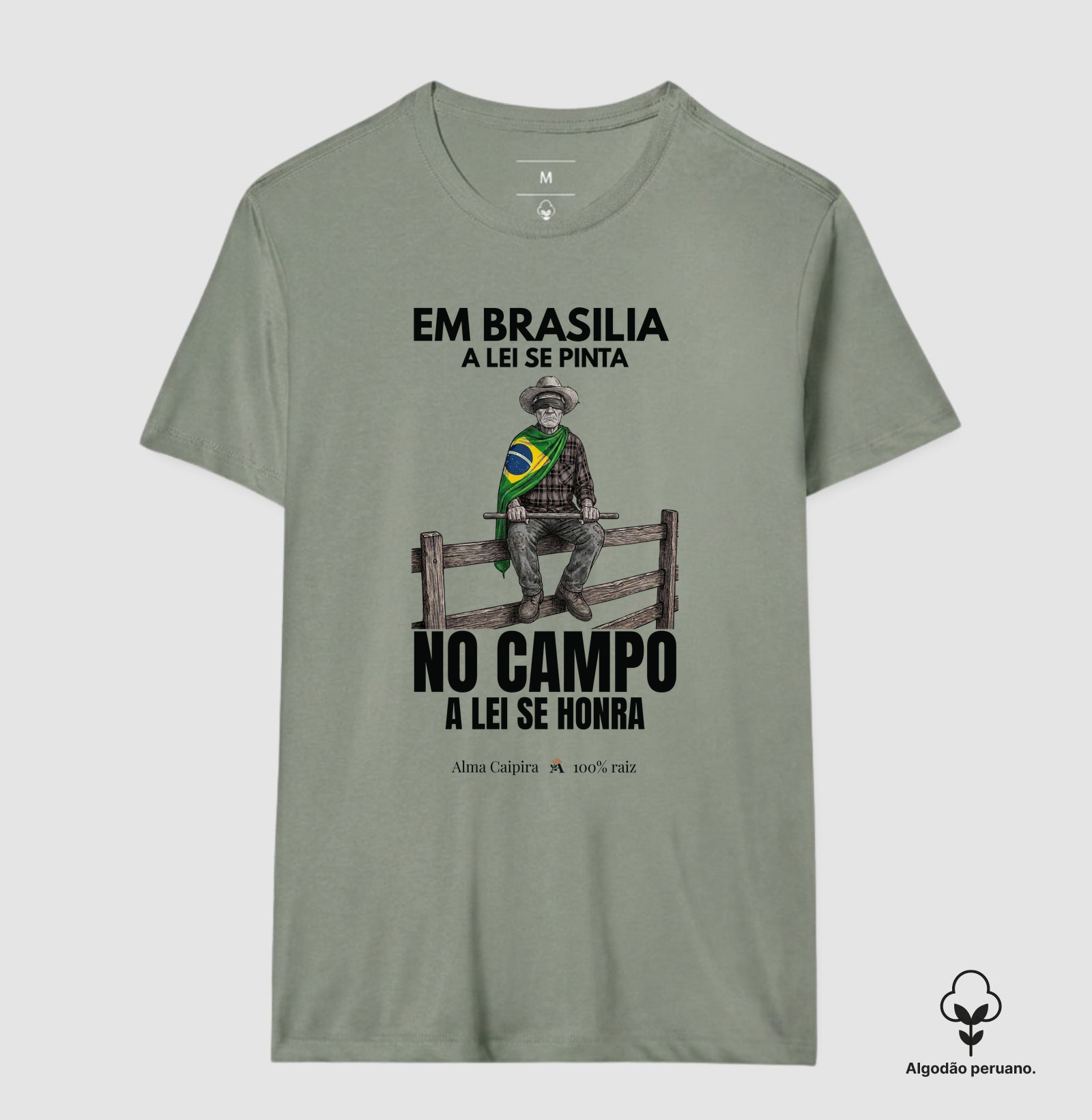 Em Brasília a lei se pinta, no Campo a lei se honra - Imagem 9