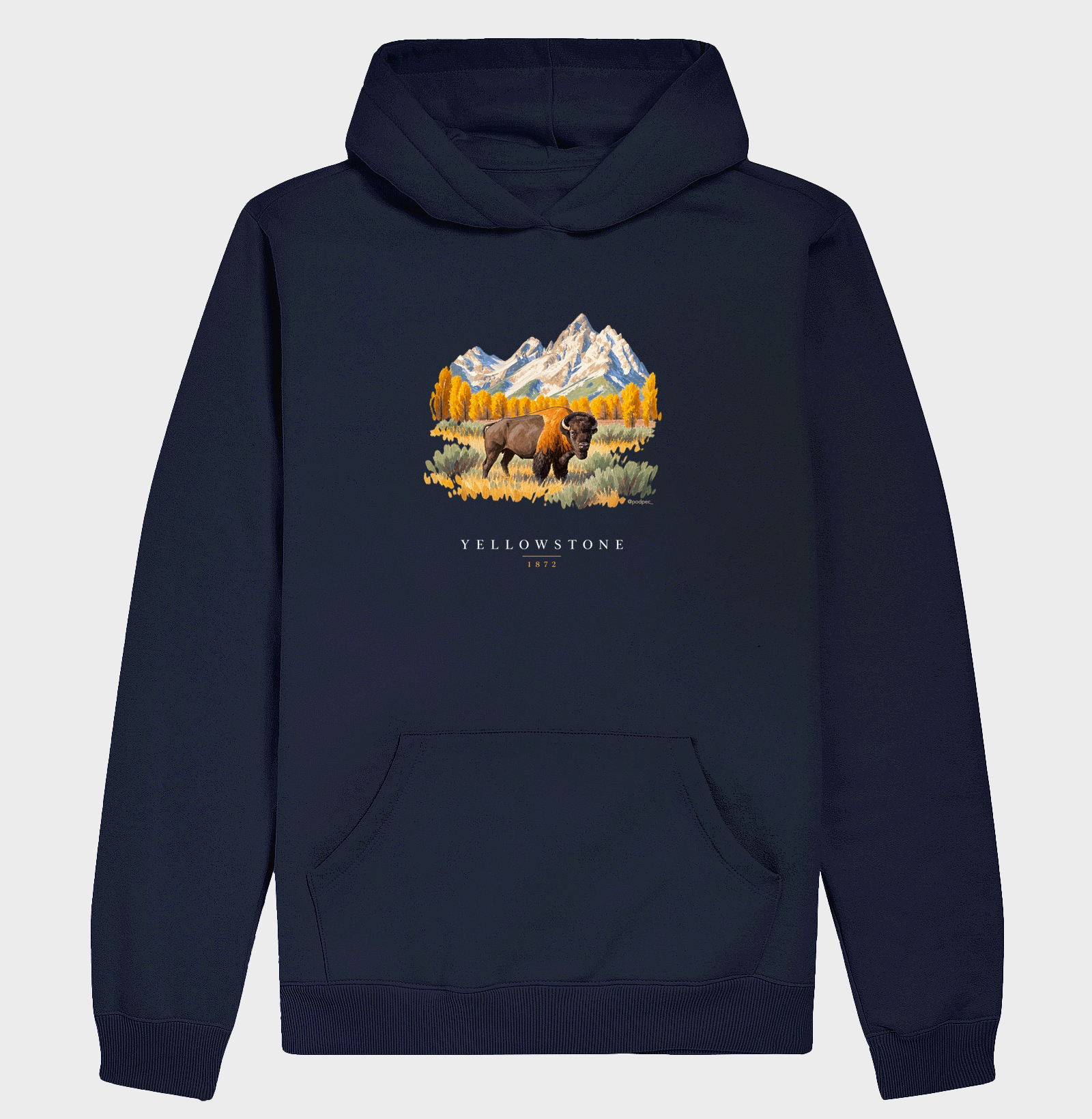 Bison - Yellowstone - Imagem 4