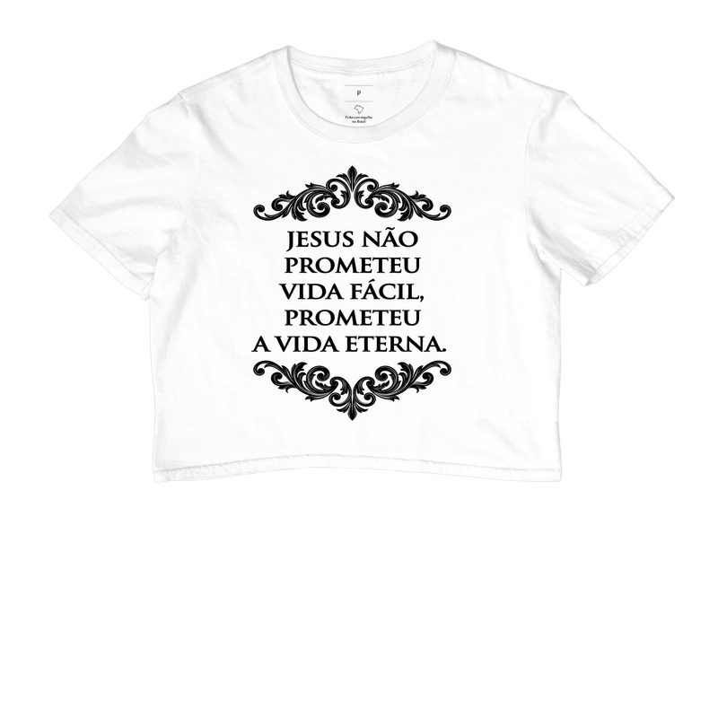 Jesus não prometeu vida fácil - Prometeu vida eterna - Imagem 3