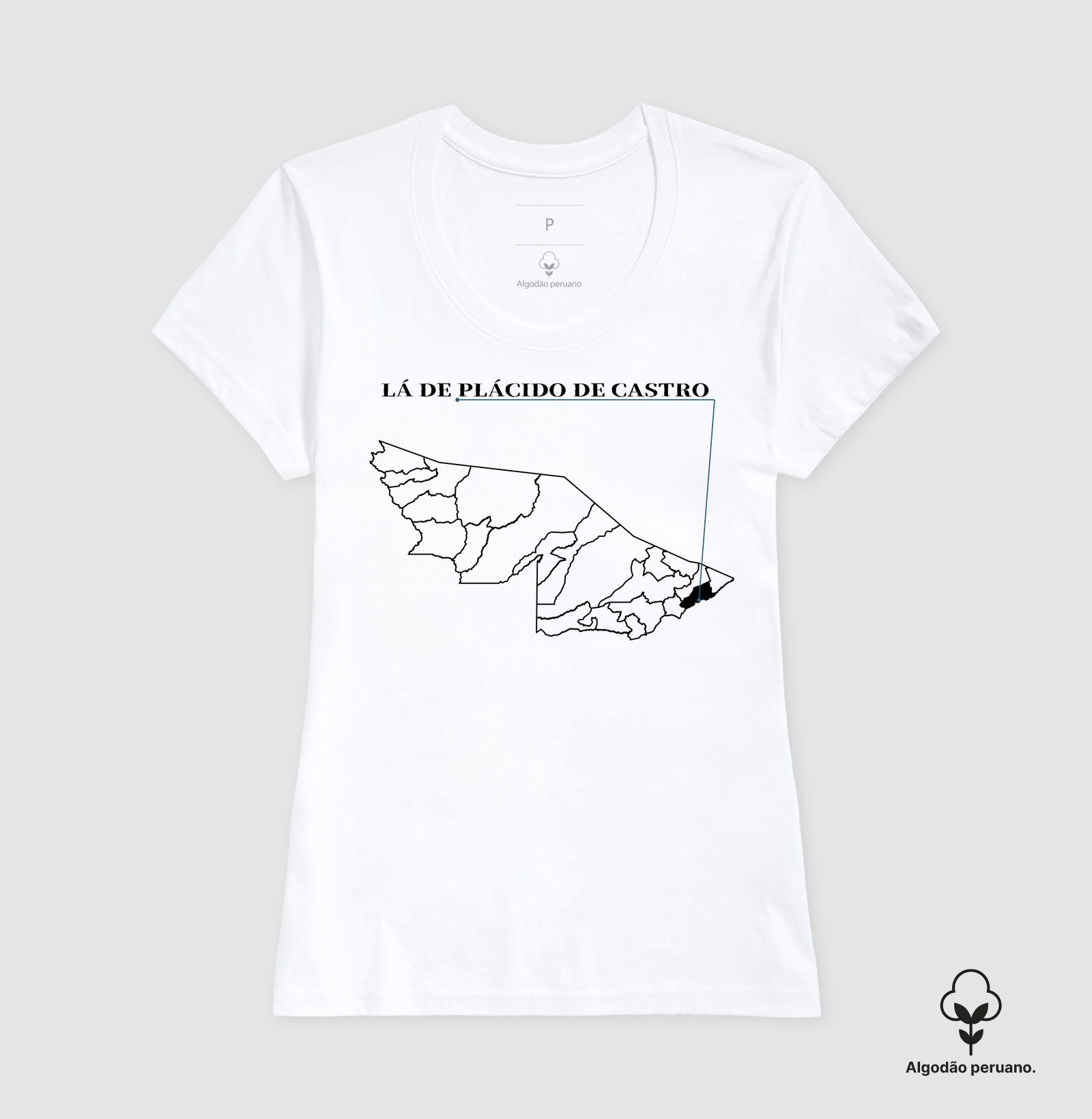 Plácido de Castro | Origem AC - Imagem 8