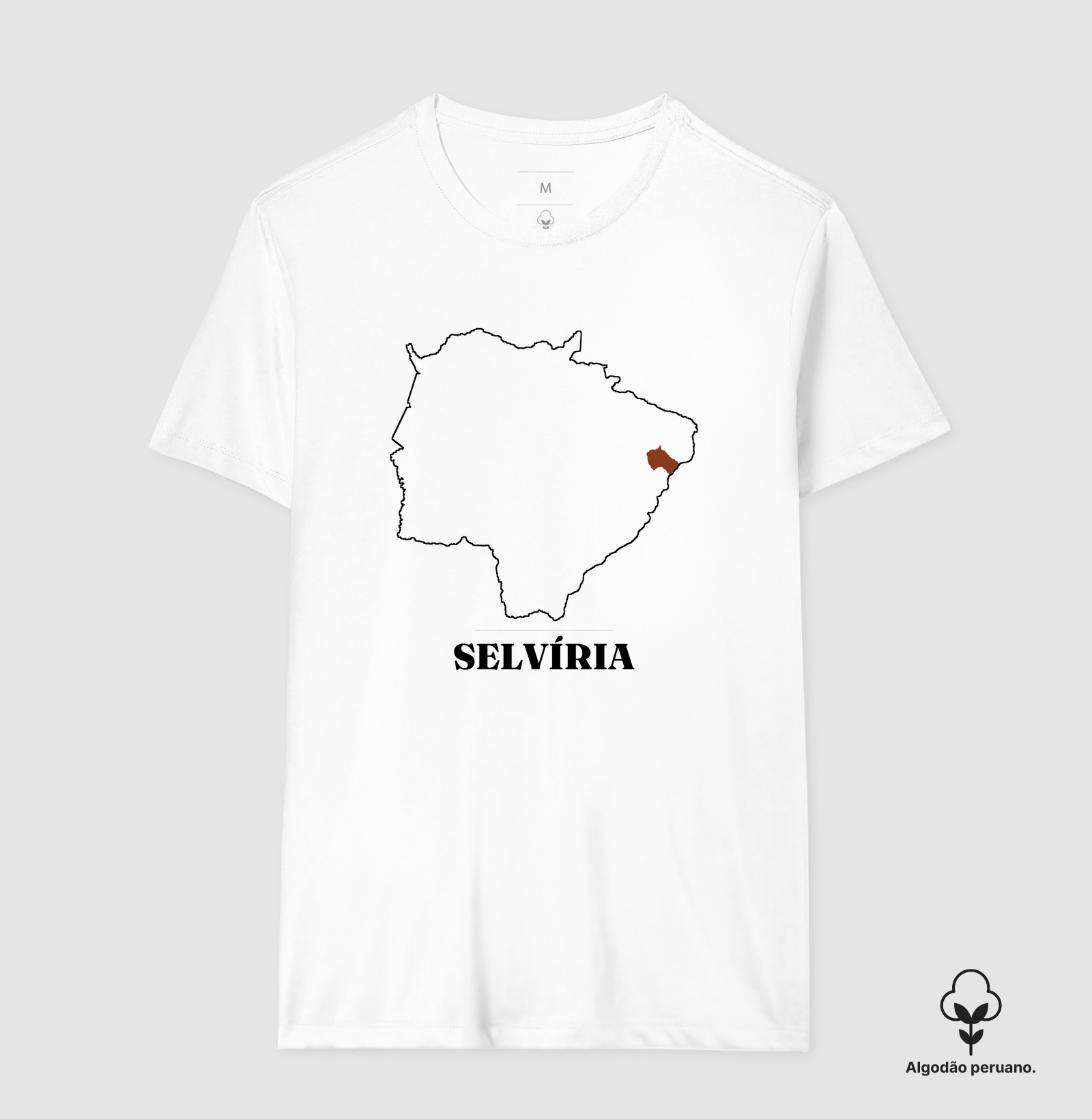 Selvíria | Traço MS - Imagem 2